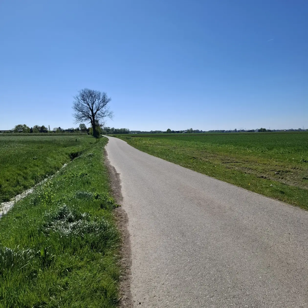 omgeving6